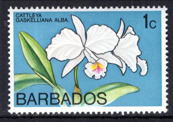 Barbados 396 Flower MNH VF