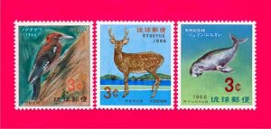 Ryukyu 1966 Nature Rare Fauna Bird Woodpecker Mammals Deer Whale 3v Sc140-42 MNH