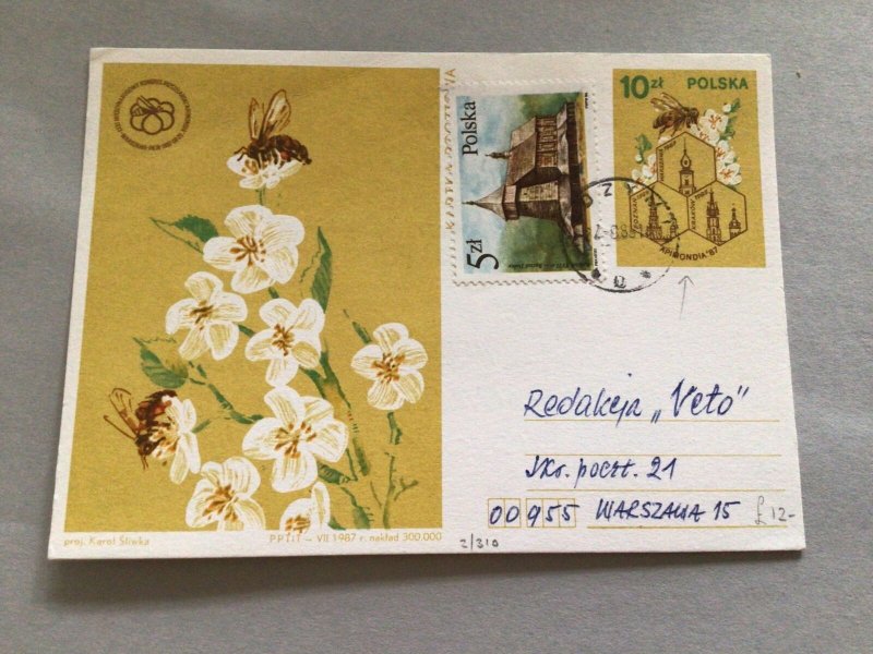 Poland Bees illustrated  postal card 66274 