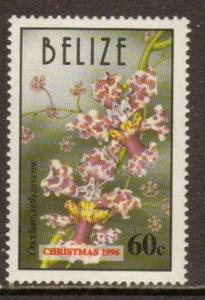 Belize  #1072  MLH  (1996)  c.v. $1.40
