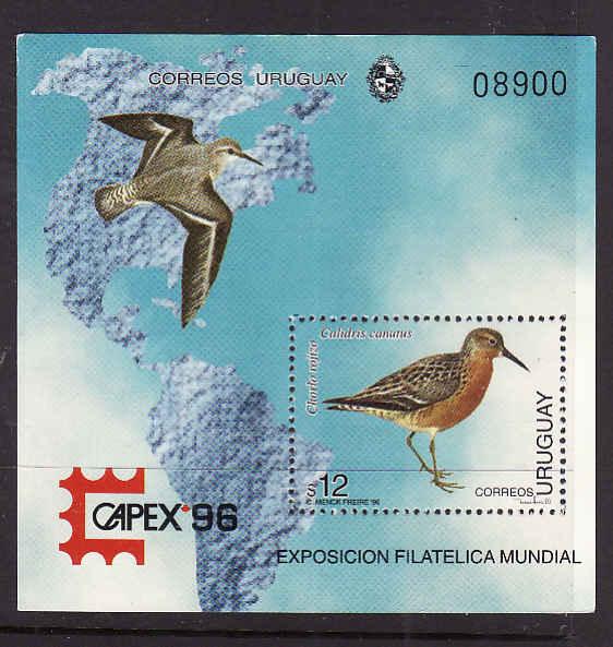 Uruguay-Sc#1615-unused NH sheet-Birds-Maps-Capex 1996-