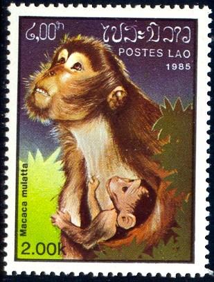 Rhesus Monkey, Macaca Mulatta, Laos stamp SC#645 MNH