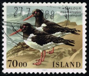 Iceland #644 Oystercatcher Birds; Used