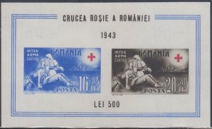 ROMANIA Sc# B206 CPL MNH S/S of 2 DIFF - ROMANIAN RED CROSS