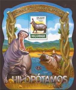 Mozambique - 2015 African Hippopotamus - Souvenir Sheet - 13A-1652