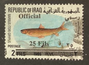 Iraq 1975 Scott o313 used - 25f on 2f,  Fish, Shabout, Barbus grypus