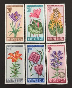 Hungary 1966 #1740-5, Flowers, MNH.