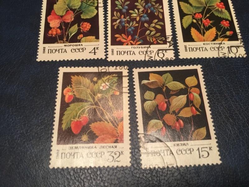 ICOLLECTZONE Russia #5023-27 Flower Set VF Used (Bk1-31)