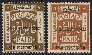 PALESTINE 1920 EEF OVERPRINTED 1M AND 3M ARABIC 8MM LONG PERF 15 X 14