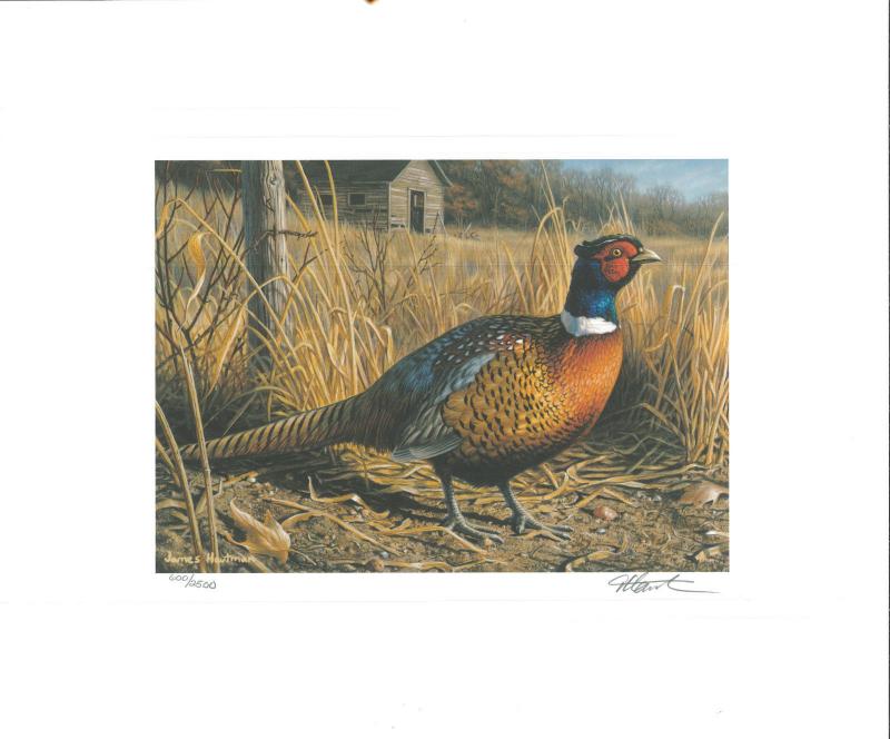 MINNESOTA #12U 1994 STATE PHEASANT  STAMP PRINT by Jim Hautman