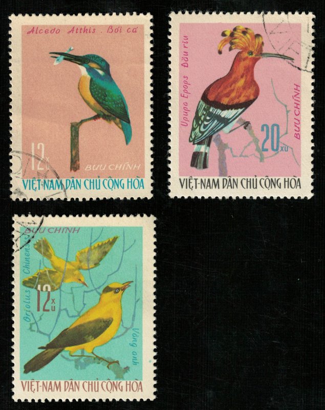 Birds, (2755-Т)