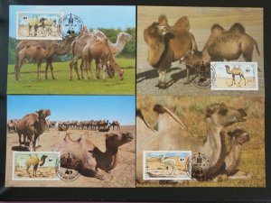 camel WWF set of 4 maximum card Mongolia 94663