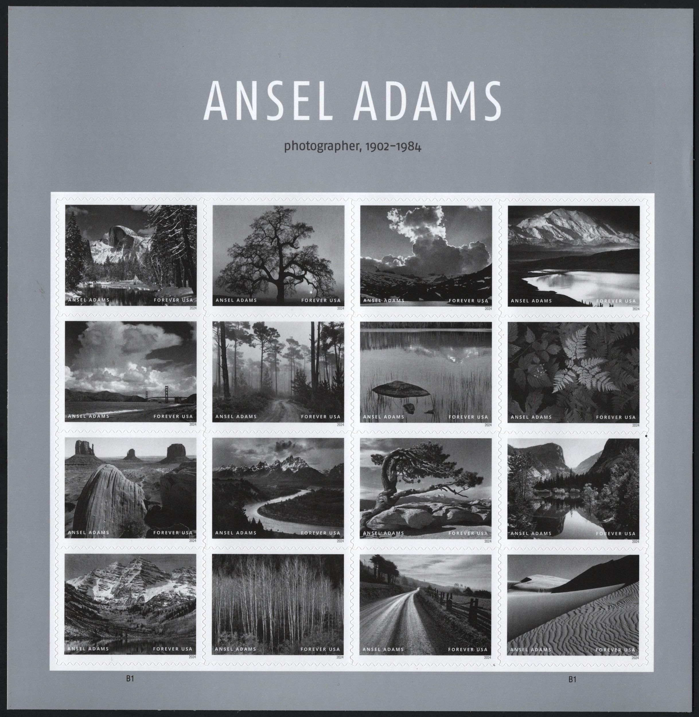 NEW ISSUE (Forever) Ansel Adams Sheet of Sixteen (2024) SA United