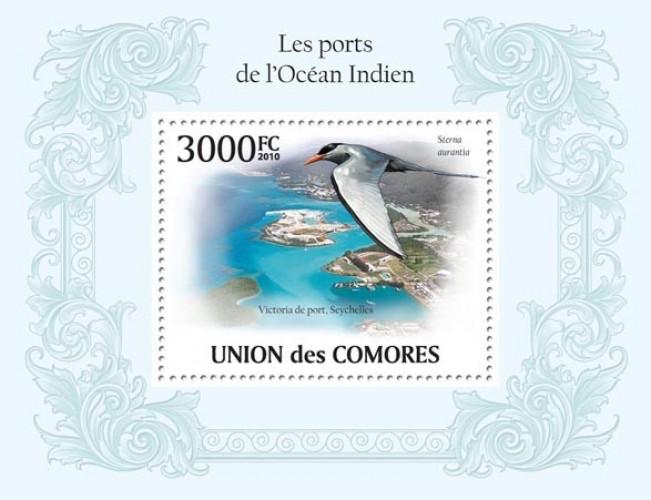 COMORES 2010 SHEET PORTS INDIAN OCEAN WATER BIRDS OISEAUX cm10111b