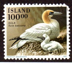 ICELAND 722 USED BIN $1.00 BIRDS