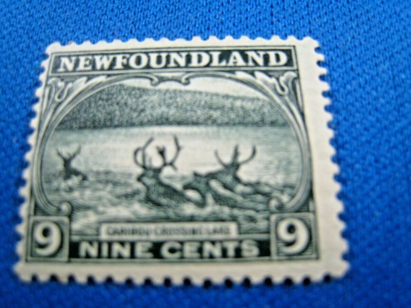 NEWFOUNDLAND  -  SCOTT # 138   MLH   (wwn15)