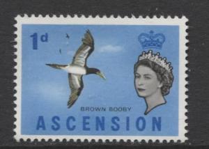 ASCENSION- Scott 75 - Bird - Brown Booby -1963 - MNH - Single 1d Stamp