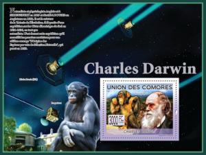 COMORES 2009 SHEET CHARLES DARWIN MONKEYS SINGES PRIMATES WILDLIFE SPACE cm9222b