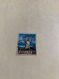 Zambia #40