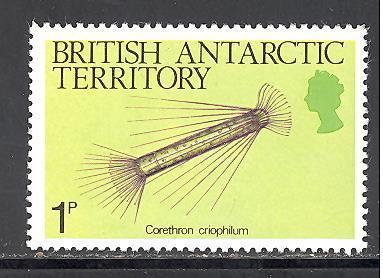 British Antarctic Territory Sc # 102 mint NH (DT)