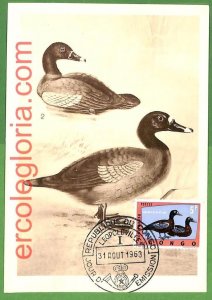 32866 - CONGO - MAXIMUM CARD - 1963 - FAUNA, BIRDS-