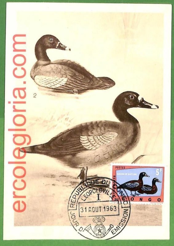 32866 - CONGO - MAXIMUM CARD - 1963 - FAUNA, BIRDS-