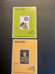 Stamps Belize Scott #644-5 never hinged