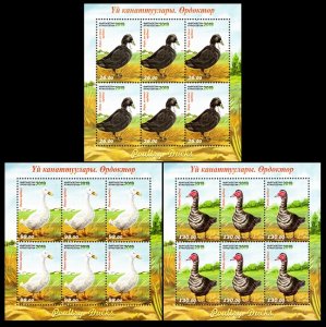 2019 Kyrgyzstan 973KL-975KL Ducks