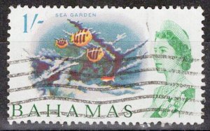 ZAYIX Bahamas 213 Used Sea Gardens - Coral Reef - Marine Life  072622S24M