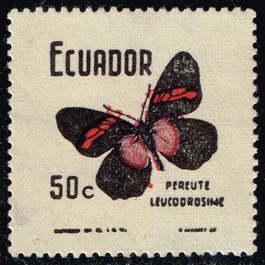 Ecuador #801 Pereute leucodrosime Butterfly; Used (0.25)