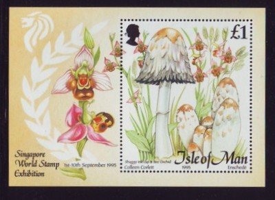 Isle of Man 1995 ,Mushrooms MNH S/Sheet # 655