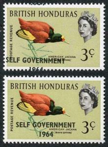 British Honduras SG218 3c with Self Government 1964 Overprint MISPLACED U/M