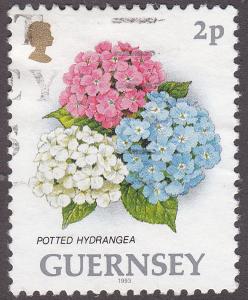 Guernsey 477  Potted Hydrangea 1993