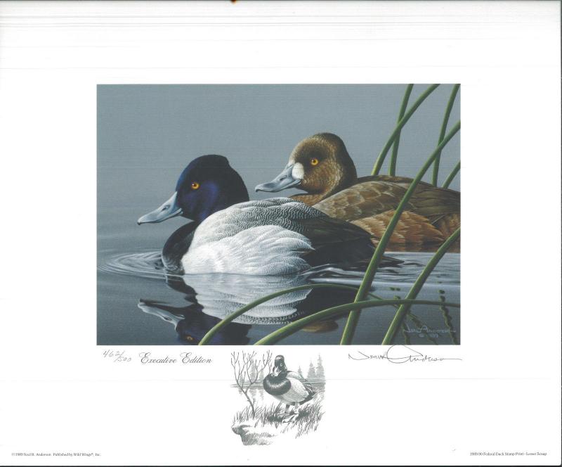1989 Federal Duck Stamp RW56 Lesser Scaup Print by Neil Anderson EXECUTIVE  ED