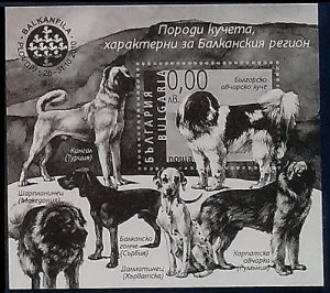 2010 Bulgaria 4956/B330b Dogs - Sample 15,00 €​​​​​​​