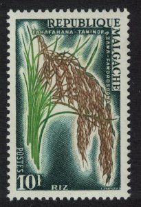 Malagasy Rep. Rice Agriculture 1960 MNH SG#15