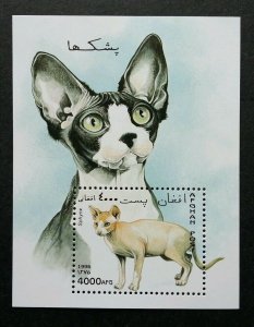 *FREE SHIP Afghanistan Cats 1996 Children Pet Animal Fauna (ms) MNH