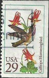 # 2646 USED CALLIOPE HUMMINGBIRD