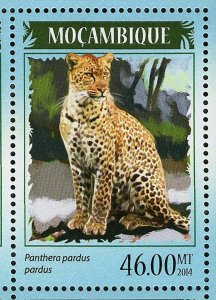 Lions Leopards Stamp Panthera Pardus Panthera Leo S/S MNH #7370-7373