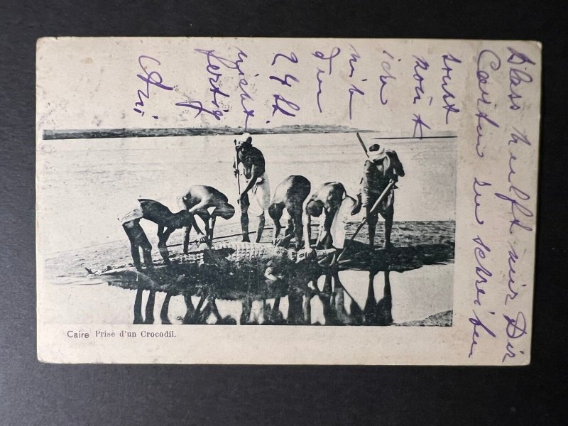 1901 Egypt RPPC Postcard Cover Cairo to Unknown Address Crocodile Hunt