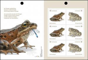 qt. ENDANGERED FROGS = Page of 6 stamps with front page MNH Canada 2024