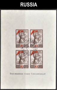 Russia Scott 970 souvenir sheet VF used. FREE...