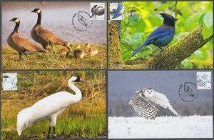 CANADA # 3117a-e:  5 DIFF BIRD STAMPS on SET of 5 MAXIMUM CARDS