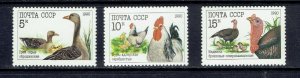 RUSSIA - 1990 POULTRY - SCOTT 5909 TO 5911 - MNH