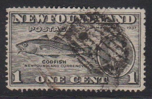 NEWFOUNDLAND Scott # 233 Used - KGVI Coronation