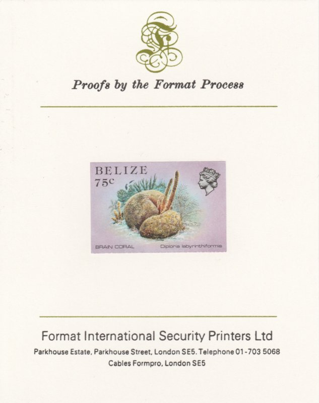 BELIZE 1984 MARINE LIFE imperf on FORMAT INT PROOF CARD