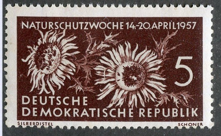 Germany- DDR, Scott #325, Mint, Never Hinged