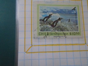 Chile  # 589  used   Birds