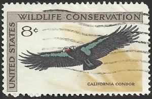 # 1430 USED CALIFORNIA CONDOR