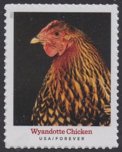 US 5584 Heritage Breeds Wyandotte Chicken F single MNH 2021